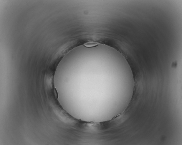 X0000112400188200908281759