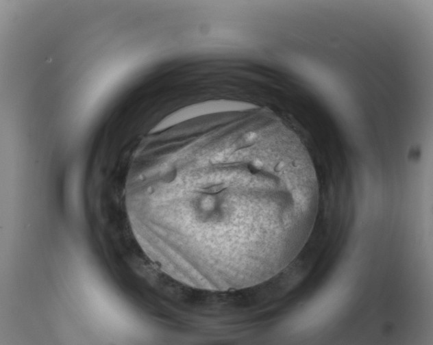X0000112400189200908281759
