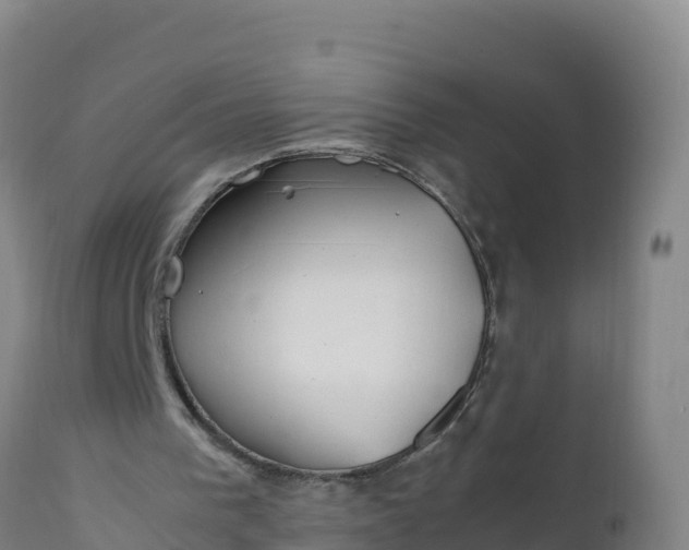 X0000112400193200908281758