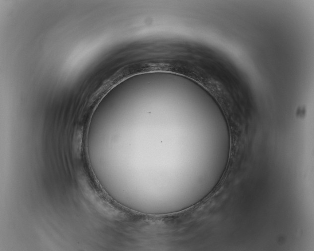 X0000112400194200908281758