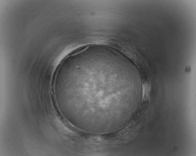 X0000112400195200908281758