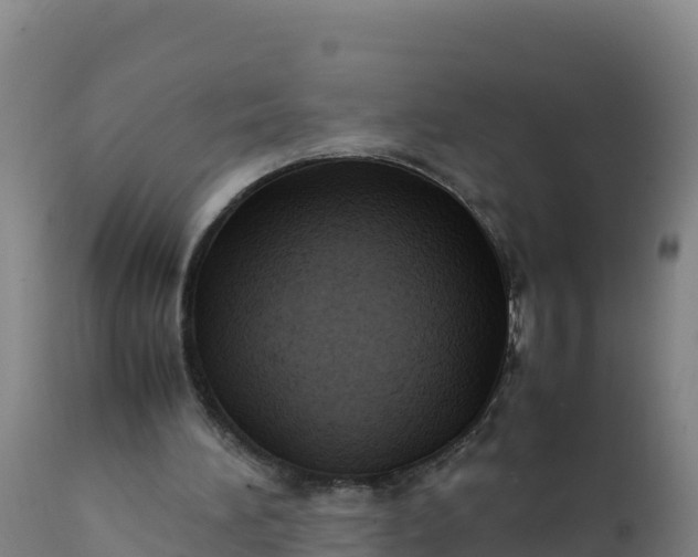 X0000112400196200908281758
