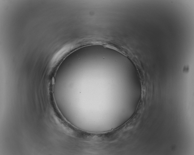 X0000112400197200908281758