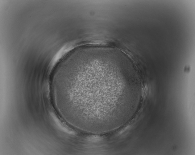 X0000112400198200908281758