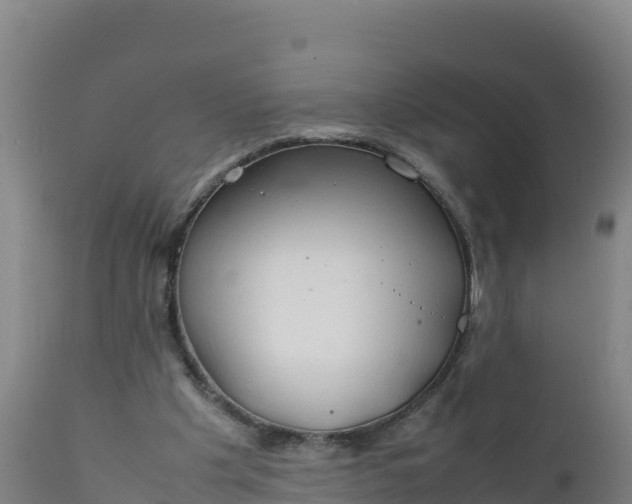 X0000112400201200908281758