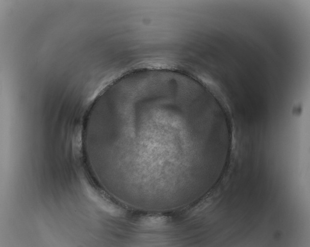 X0000112400202200908281758