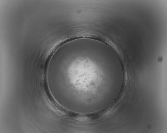 X0000112400203200908281758