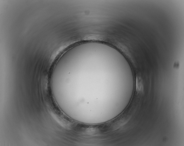 X0000112400204200908281758