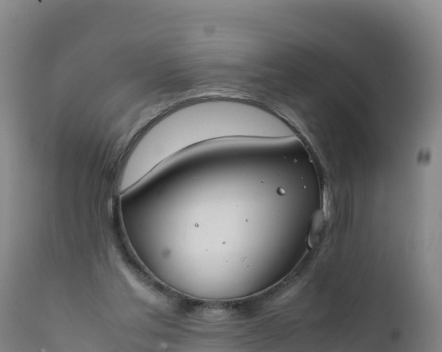 X0000112400205200908281758