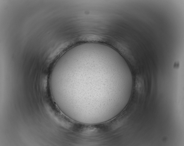 X0000112400206200908281758
