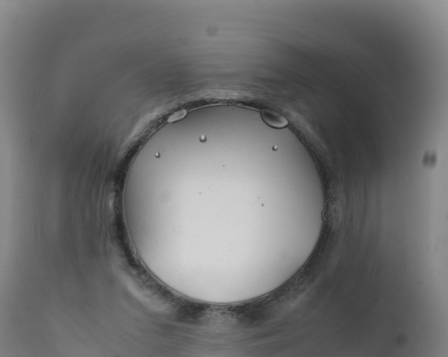 X0000112400207200908281758