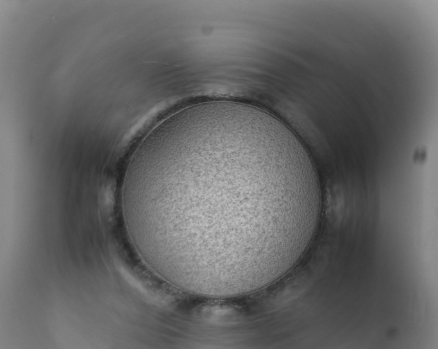 X0000112400208200908281758