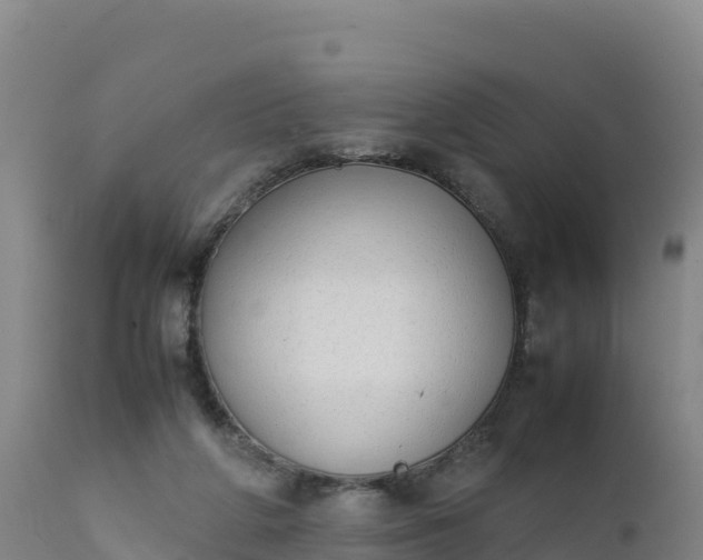 X0000112400210200908281758