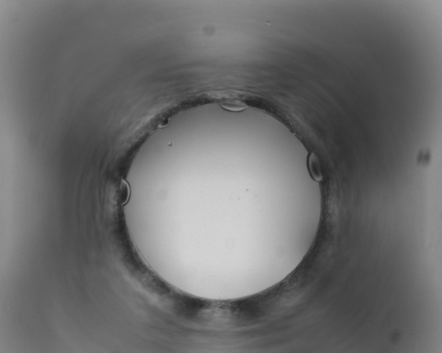X0000112400211200908281758