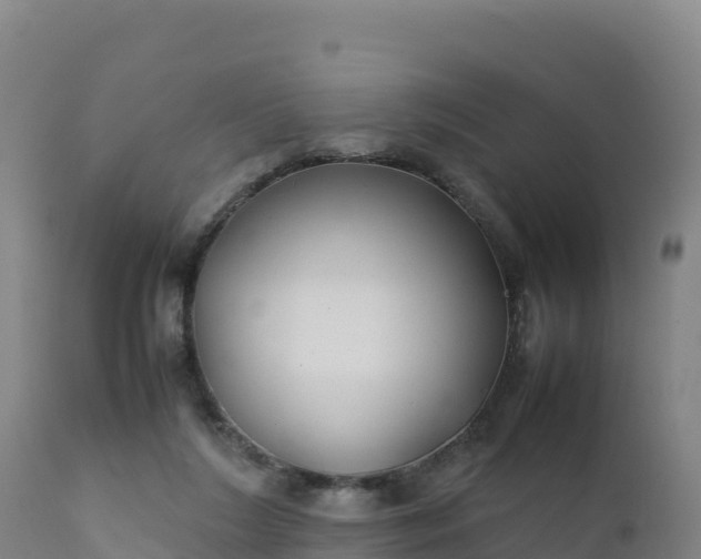 X0000112400212200908281758