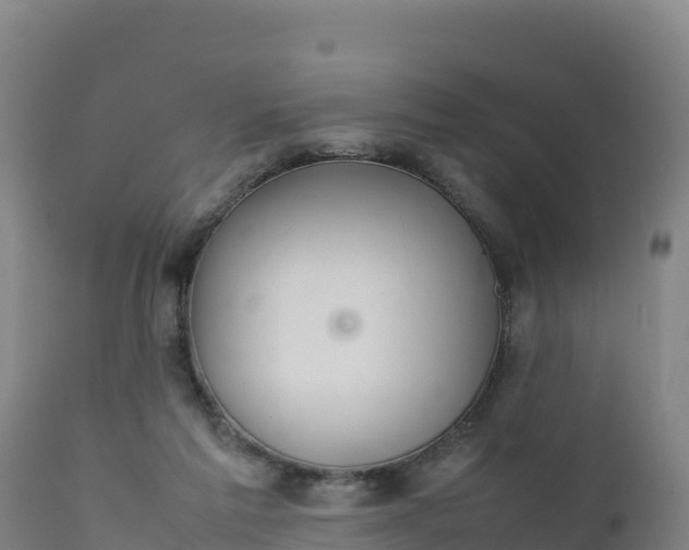X0000112400213200908281758