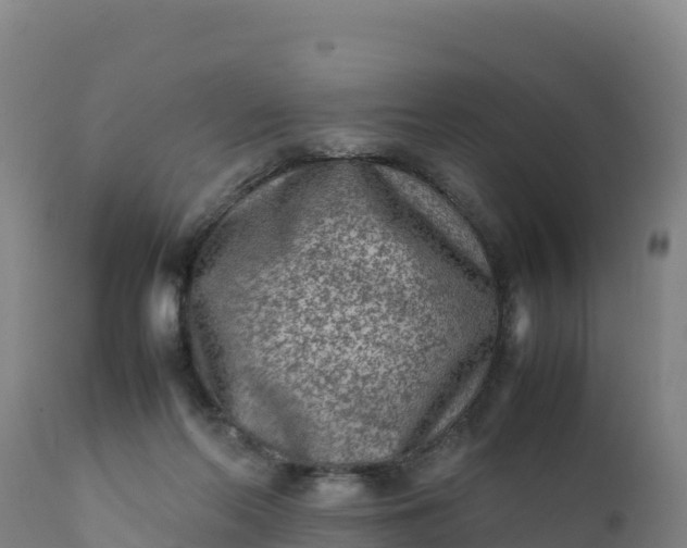 X0000112400214200908281758