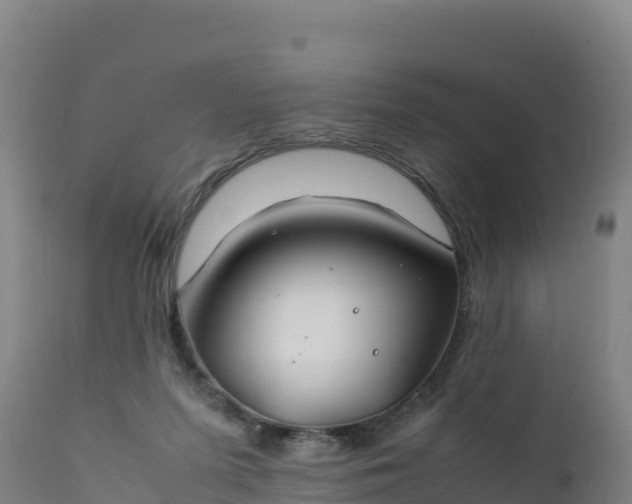 X0000112400215200908281758
