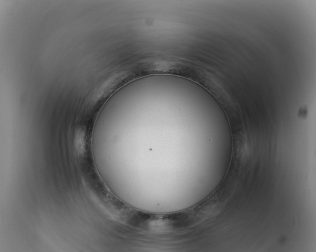 X0000112400216200908281758