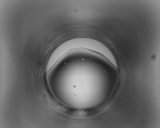 X0000112400217200908281758