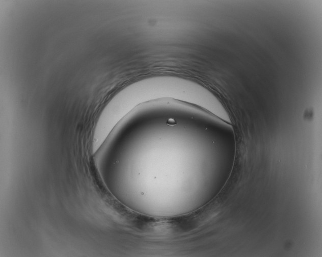 X0000112400219200908281758