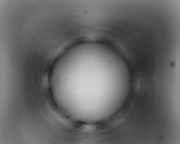 X0000112400220200908281758
