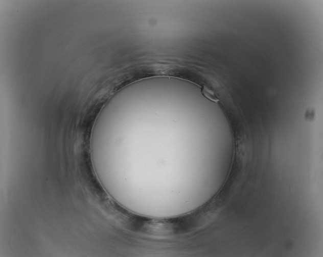 X0000112400221200908281758