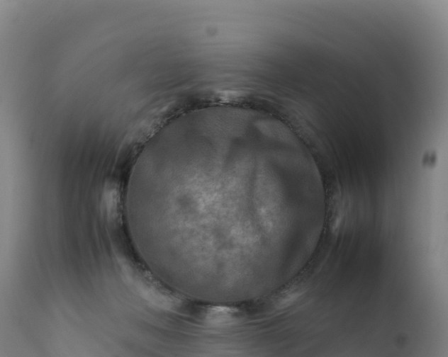 X0000112400222200908281758