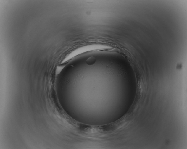 X0000112400223200908281758