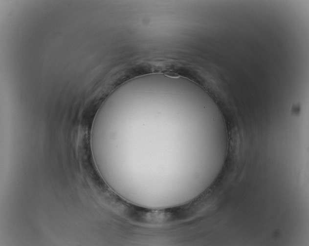 X0000112400225200908281758