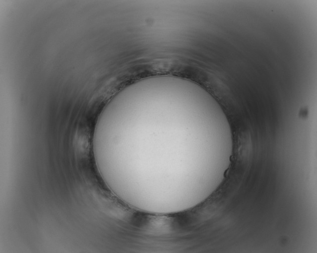 X0000112400226200908281758