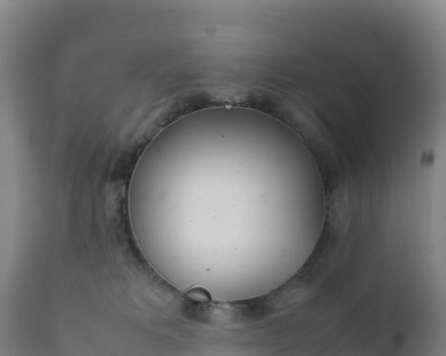 X0000112400229200908281758
