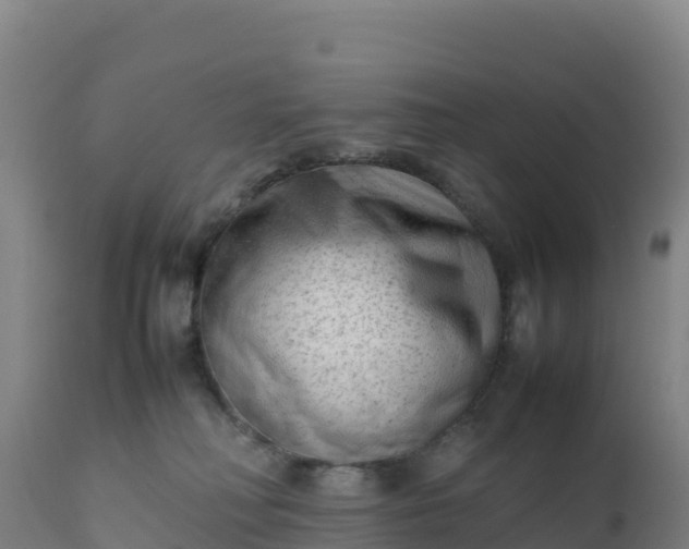 X0000112400230200908281758