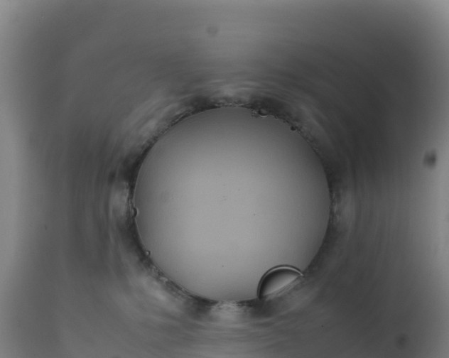 X0000112400231200908281758