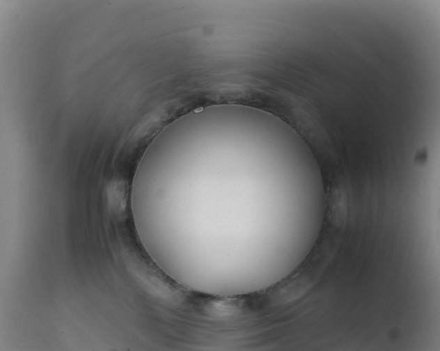 X0000112400232200908281758