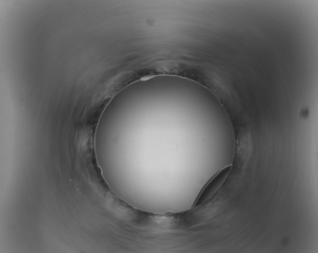 X0000112400233200908281758