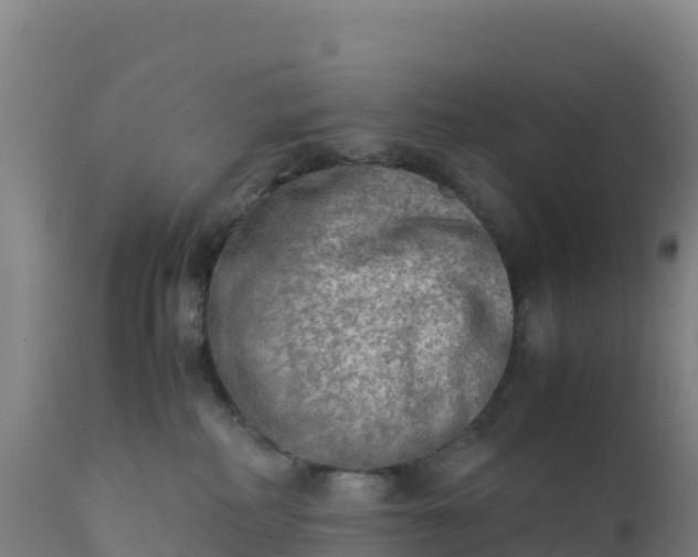 X0000112400234200908281758