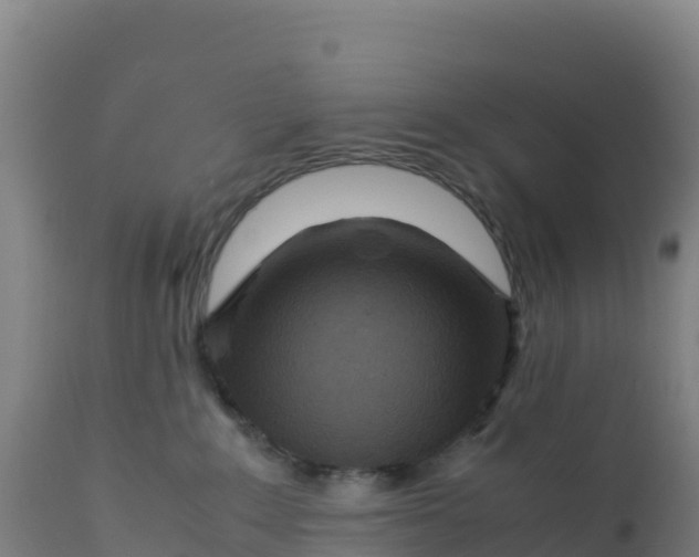 X0000112400235200908281758
