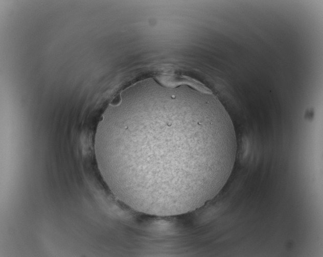 X0000112400236200908281758