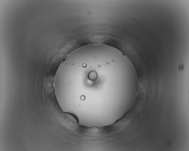 X0000112400237200908281758