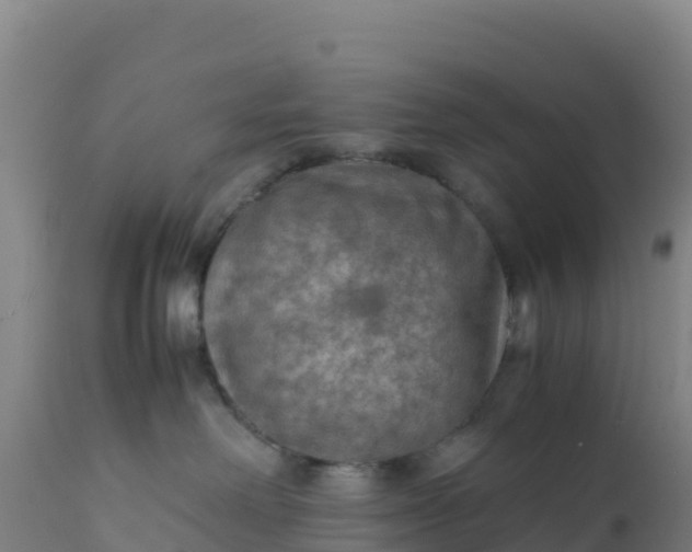 X0000112400238200908281758