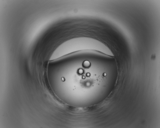 X0000112400239200908281758