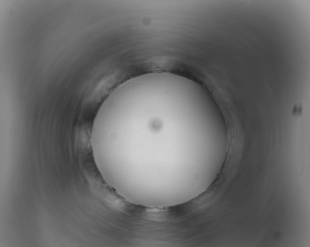 X0000112400240200908281758