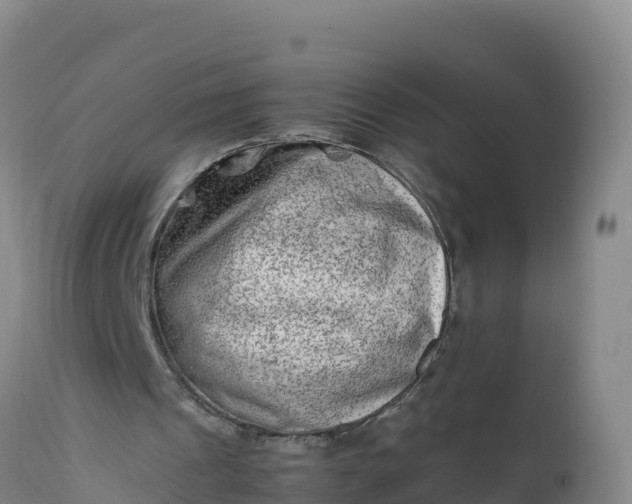 X0000112400241200908281757