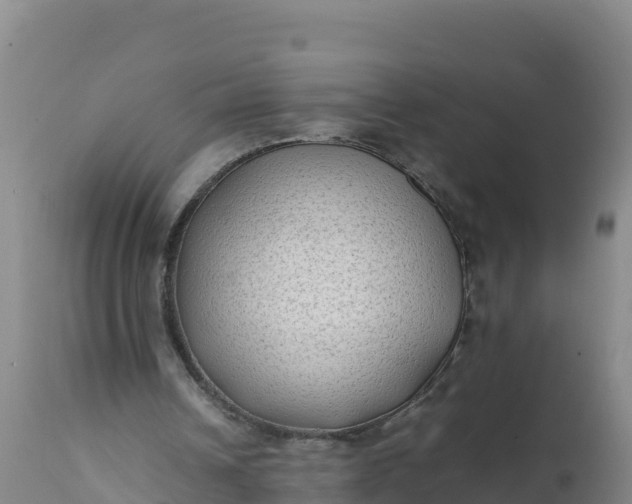 X0000112400242200908281757