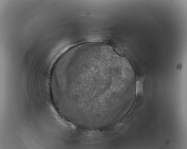 X0000112400243200908281757