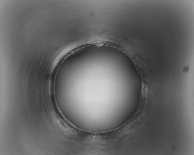 X0000112400244200908281757