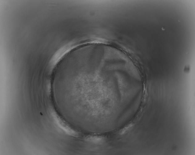 X0000112400247200908281757