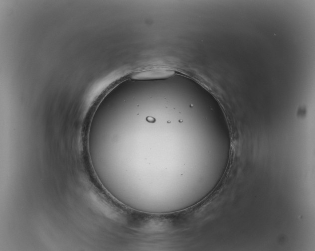 X0000112400248200908281757