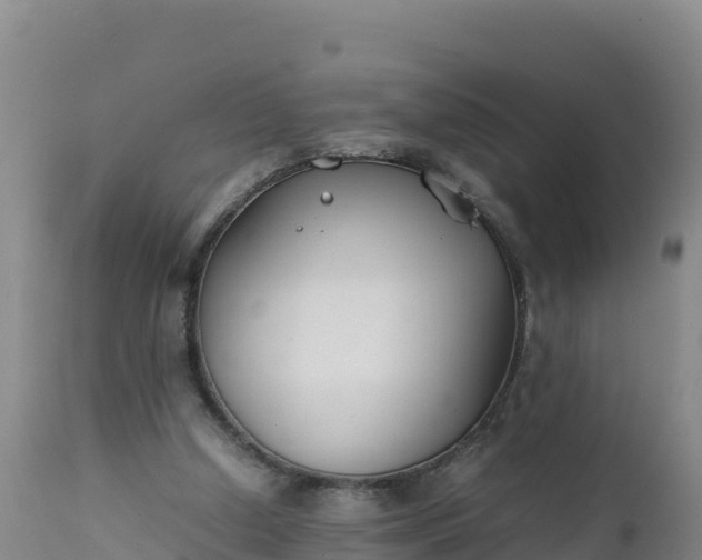 X0000112400250200908281757
